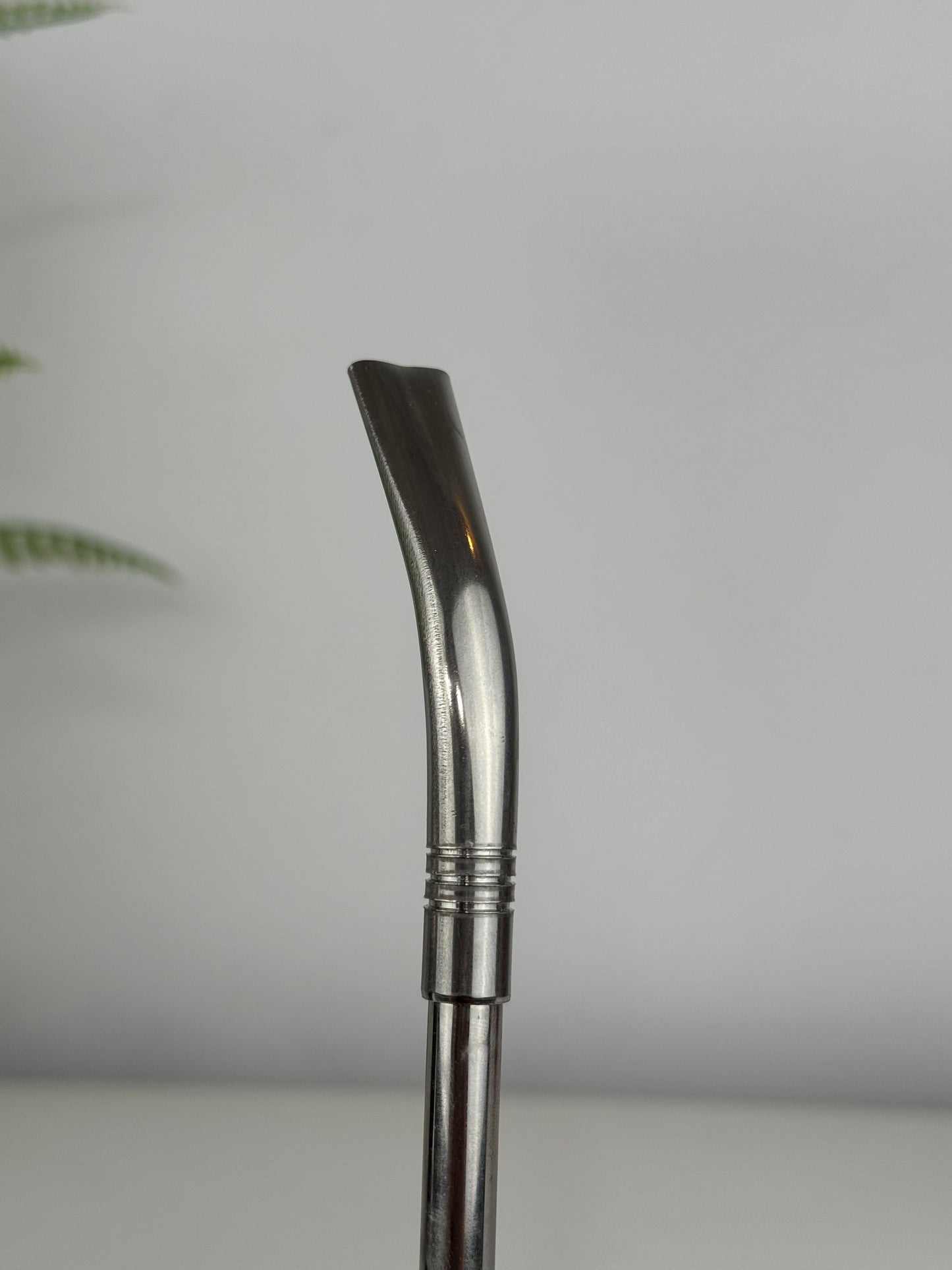 Bombilla Acero Inox
